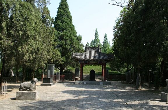 ����Ĺ������