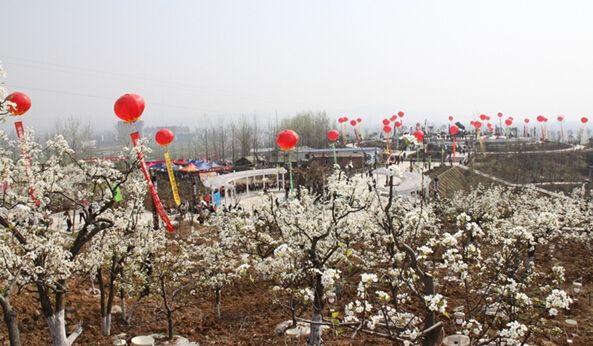 ���q��԰����