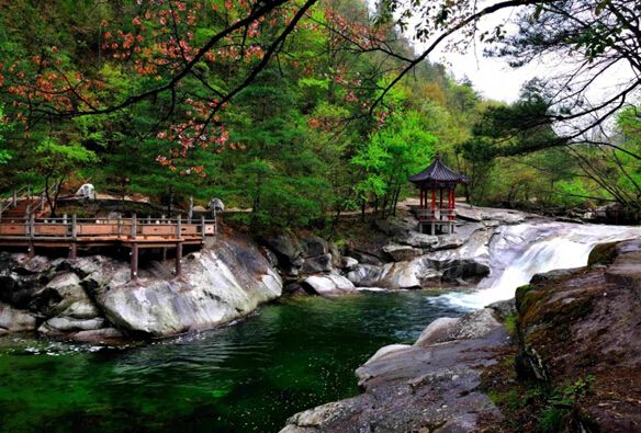 ������̶