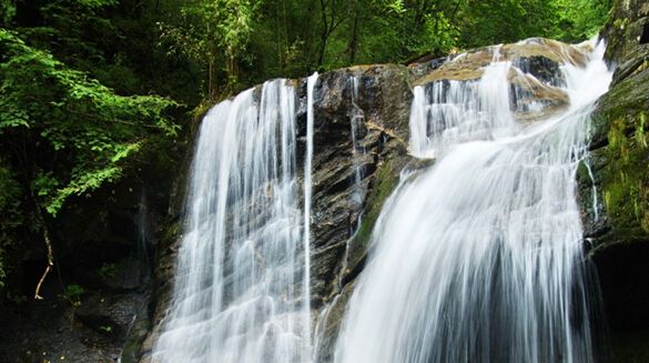 �������ٲ�