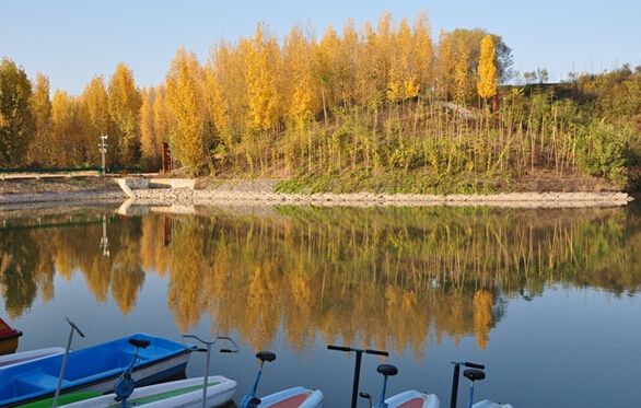 ������ɫ