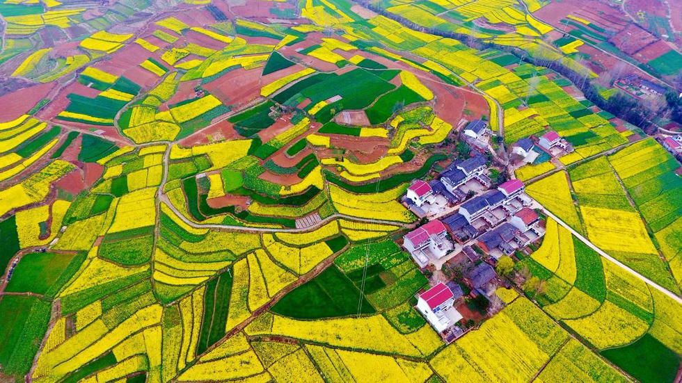 ɫ�ʰ�쵵������