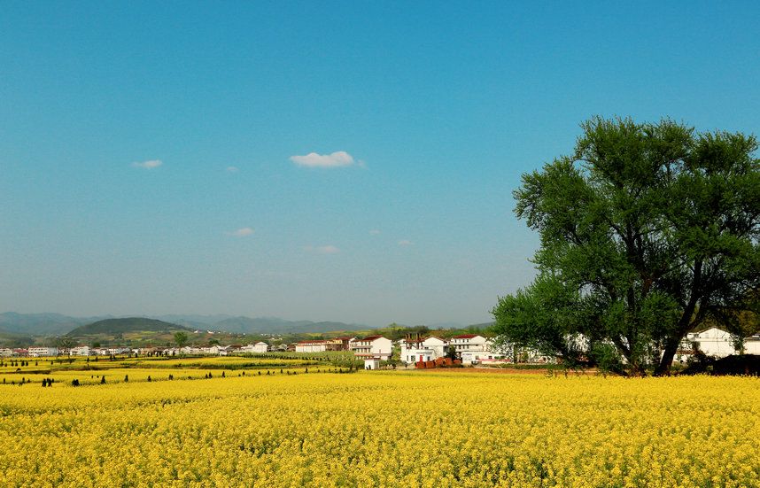 ������԰